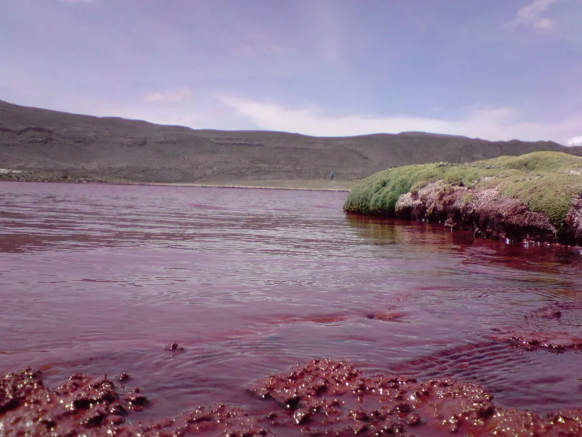 laguna roja - Por qué se llama Laguna Roja