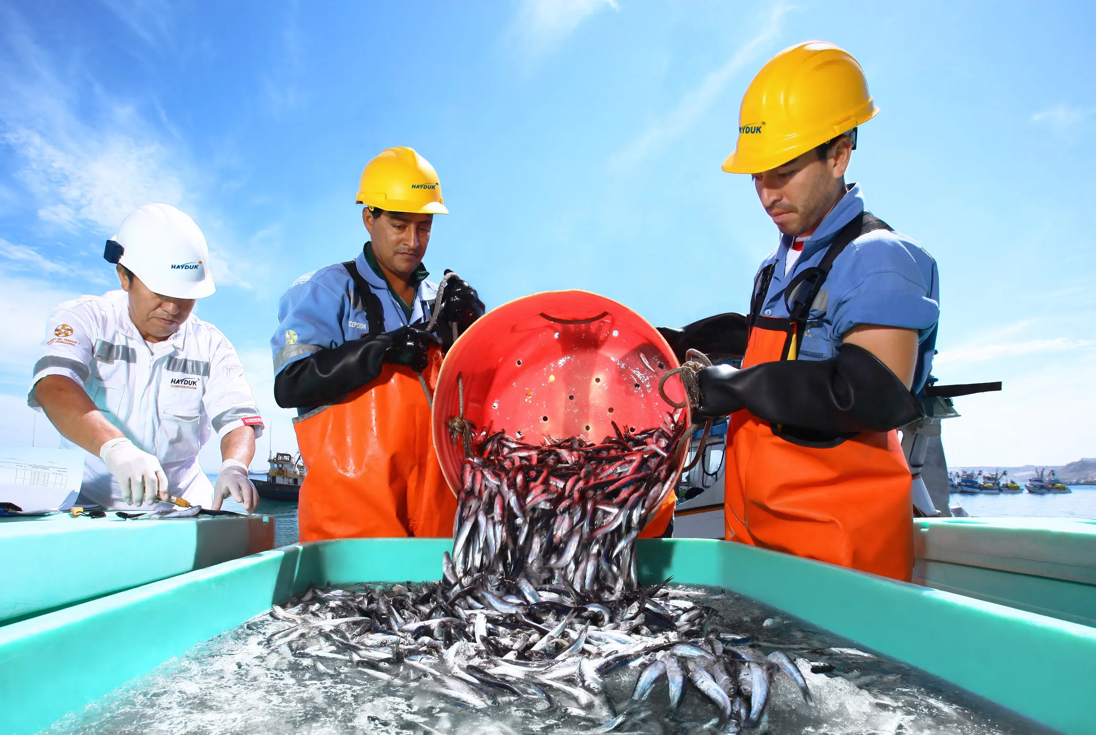 la pesca que actividad economica es - Qué actividad economica se relaciona con la pesca