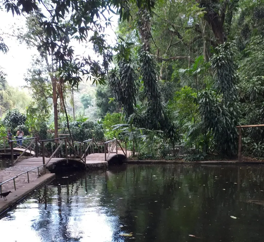 vivero plan de la laguna - Qué actividades se pueden realizar en el Jardín Botánico