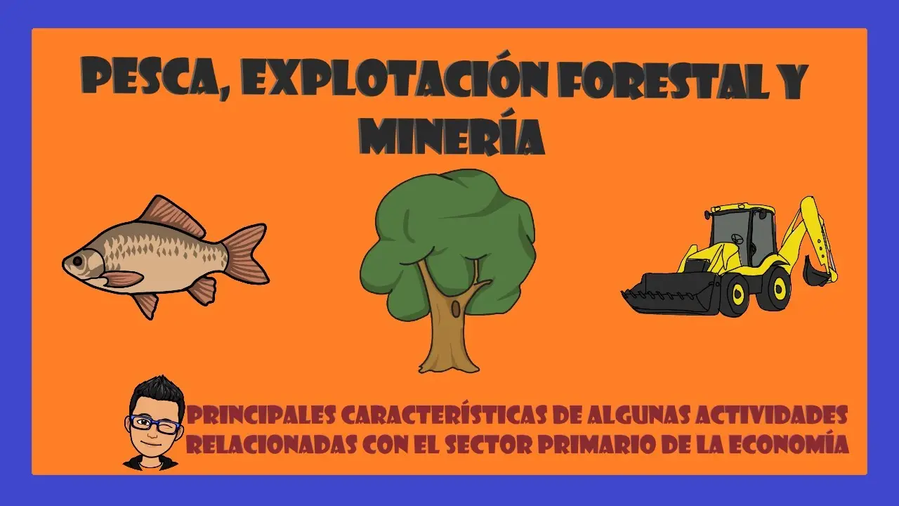 actividad forestal caza y pesca - Qué actividades se realizan en la explotación forestal