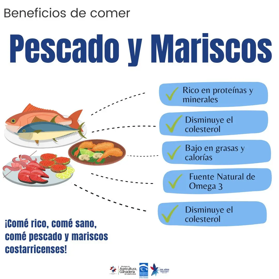 Alimentos derivados del pescado: usos y beneficios