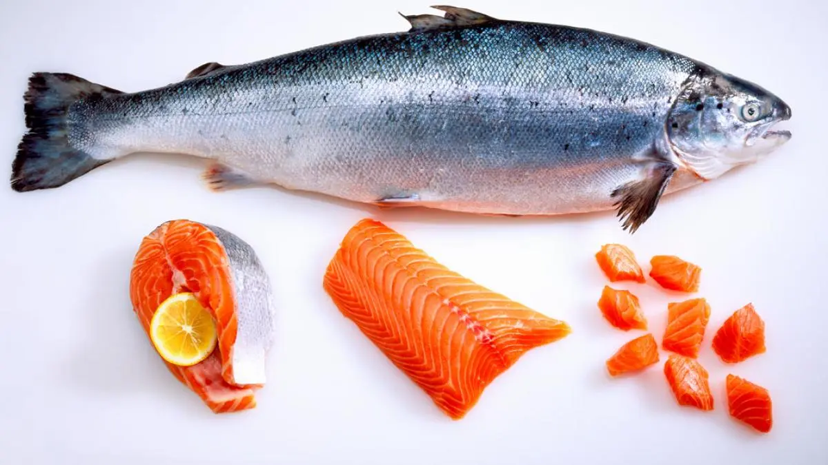 pescado alergeno - Qué alimentos tienen alérgeno