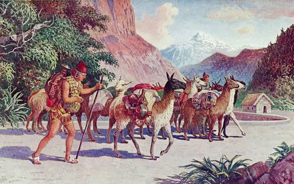 incas cazando animales - Qué animales cazaban los incas