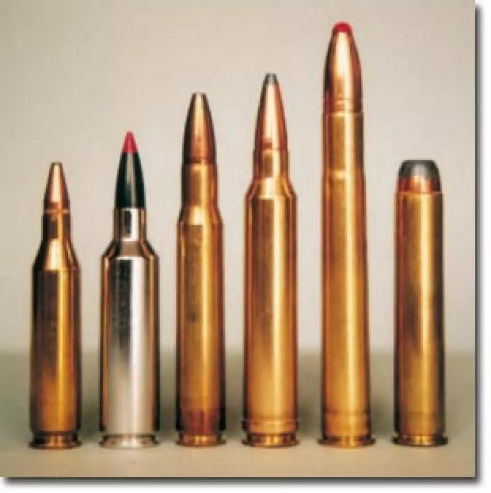 Mejores calibres para caza mayor: 300, 222, 3006 y 308