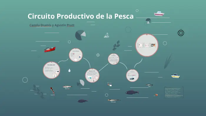 circuito productivo de la pesca en la patagonia - Qué circuitos productivos hay en la región patagónica