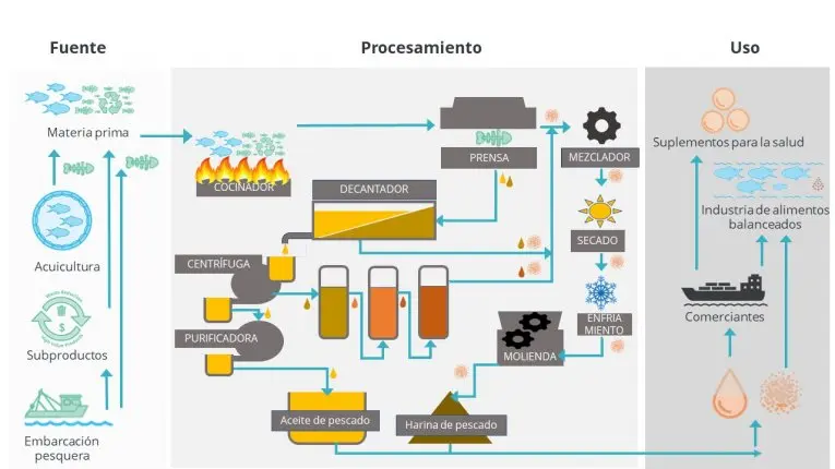 obtencion de aceite de pescado - Qué es el aceite crudo de pescado