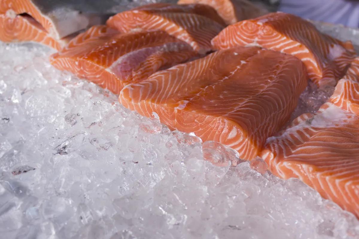 recetas pescado salmon - Qué es lo mejor del salmón