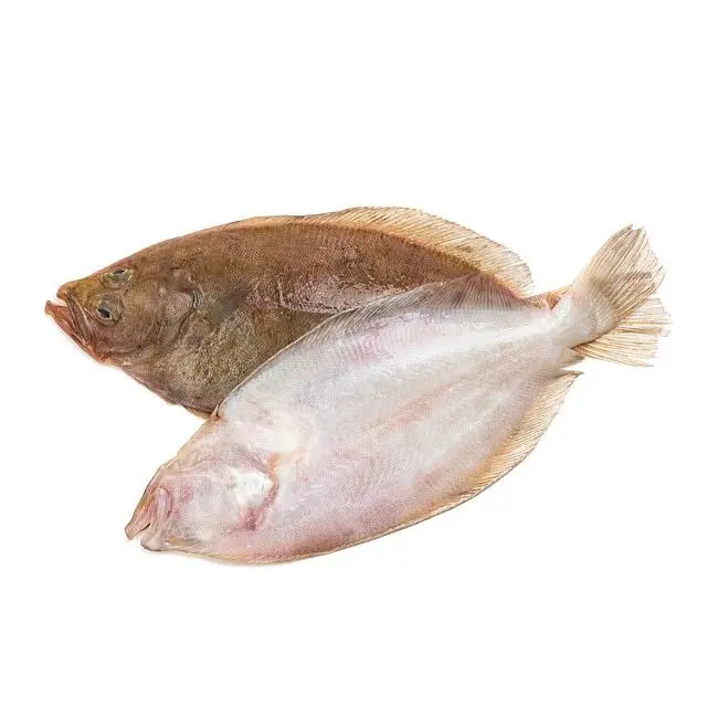 Precio del pescado gallo: opción económica y saludable