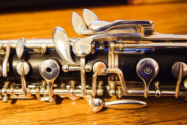 oboe de caza - Qué función tiene el oboe