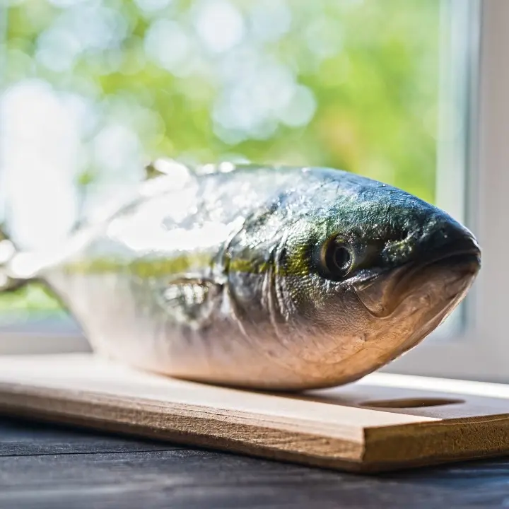 quitar olor pescado cocina - Qué hacer para quitar el olor a frito de la casa