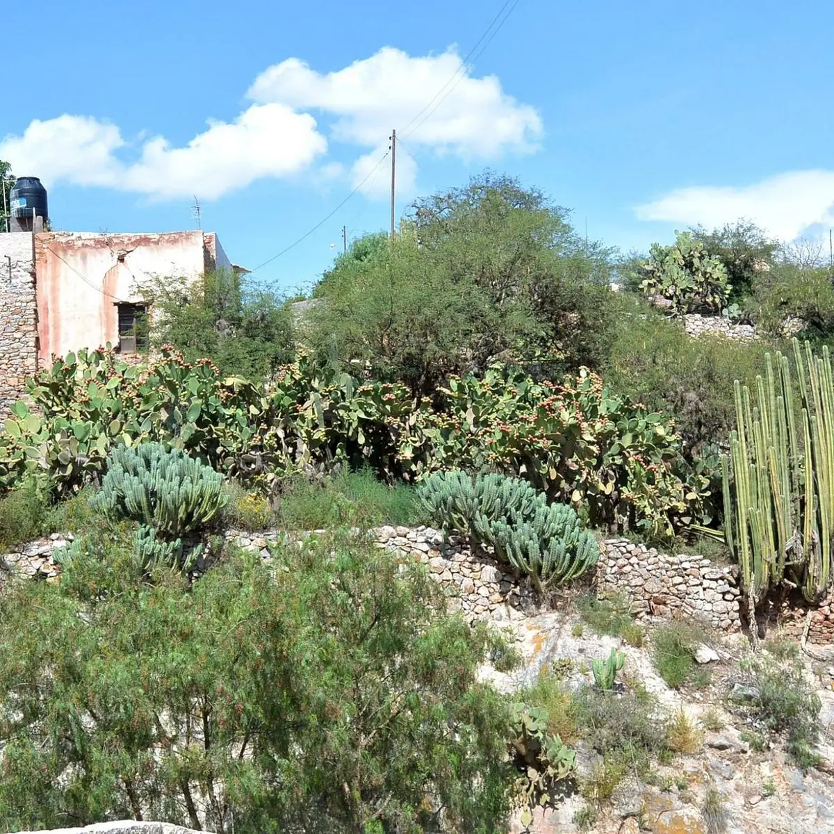 Los encantos de san pedro la laguna