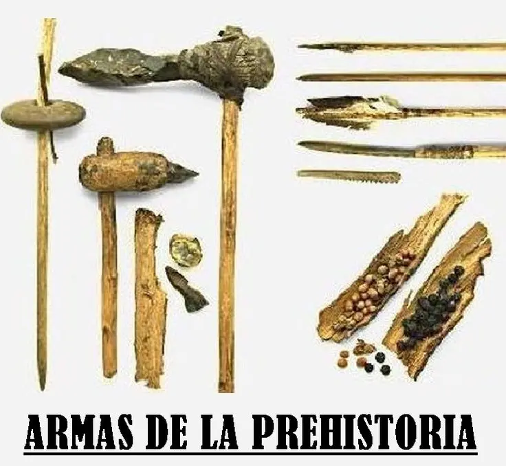 herramientas para cazar animales - Qué herramientas utilizaban para cazar y pescar