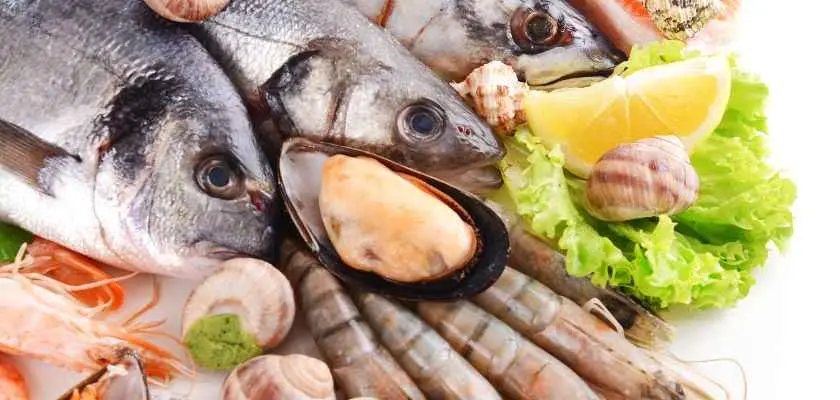 pescados que contengan omega 3 - Qué omega tiene la merluza
