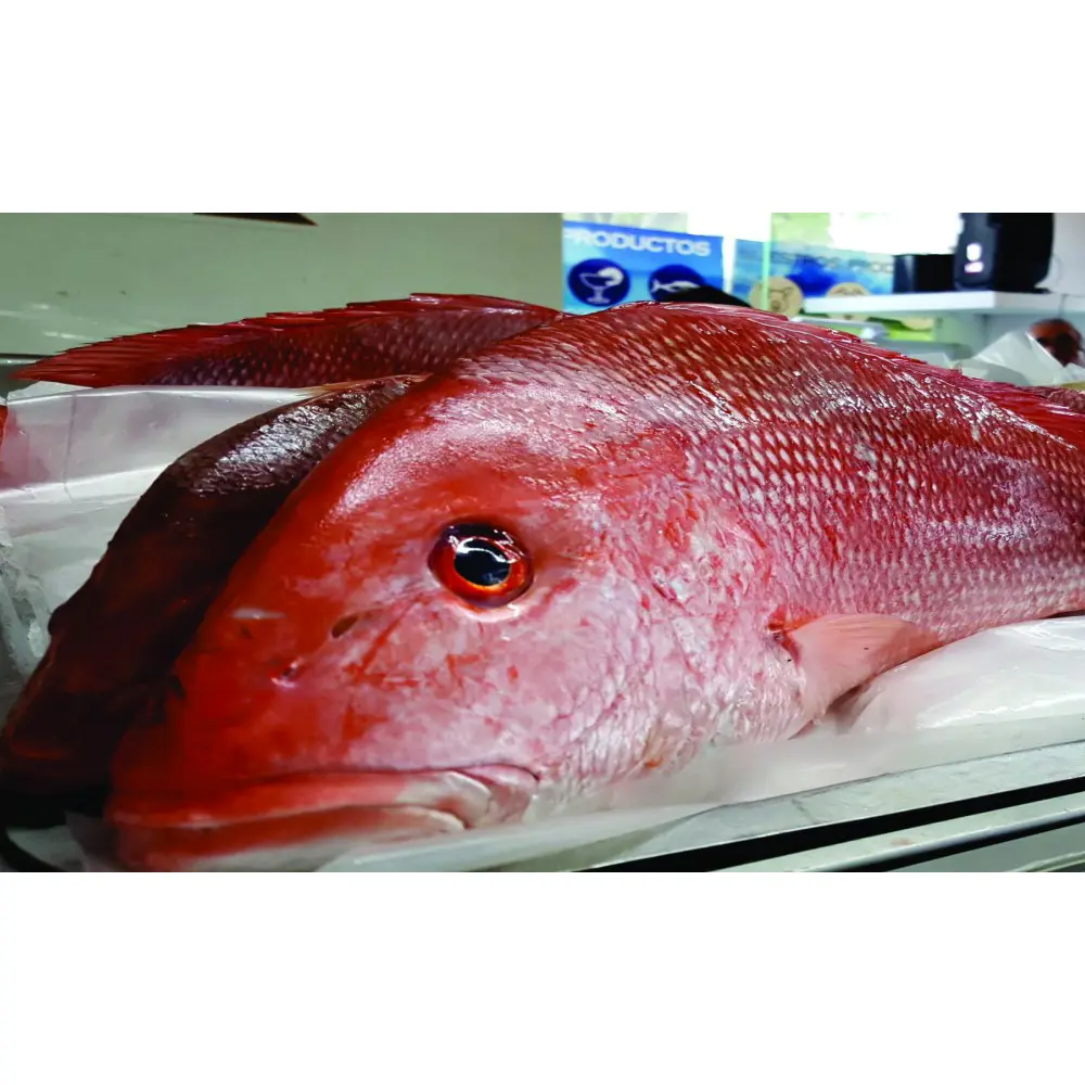 pescado huachinango precio - Qué otro nombre recibe el huachinango