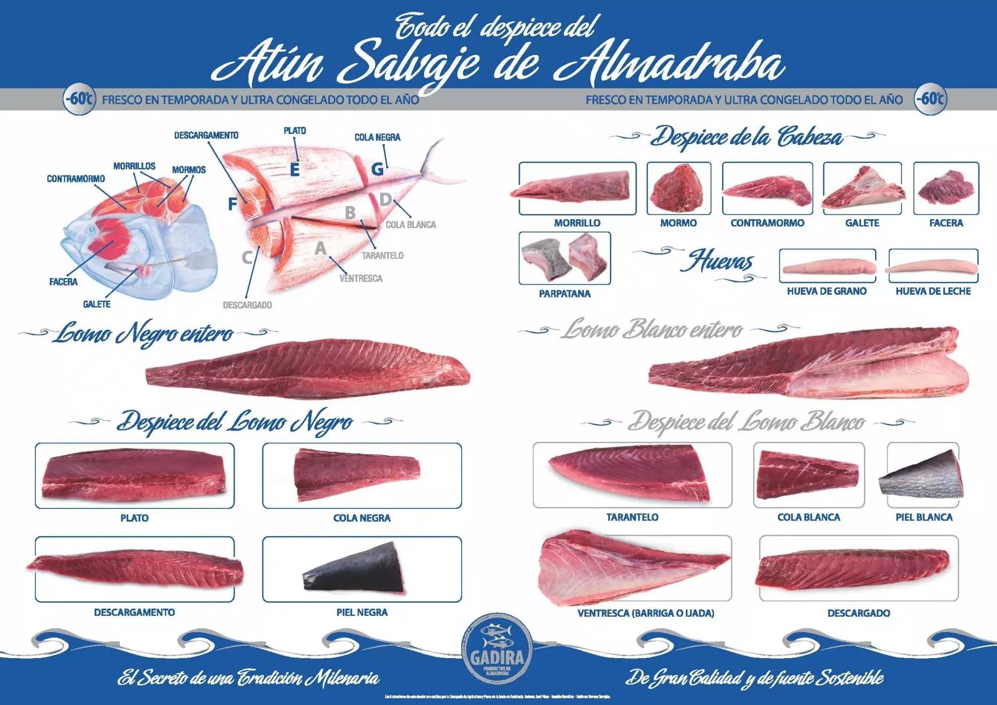 lomito de atun que pescado es - Qué parte del pescado es el atún