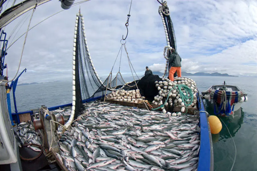 exportacion de pesca - Qué peces exporta Argentina
