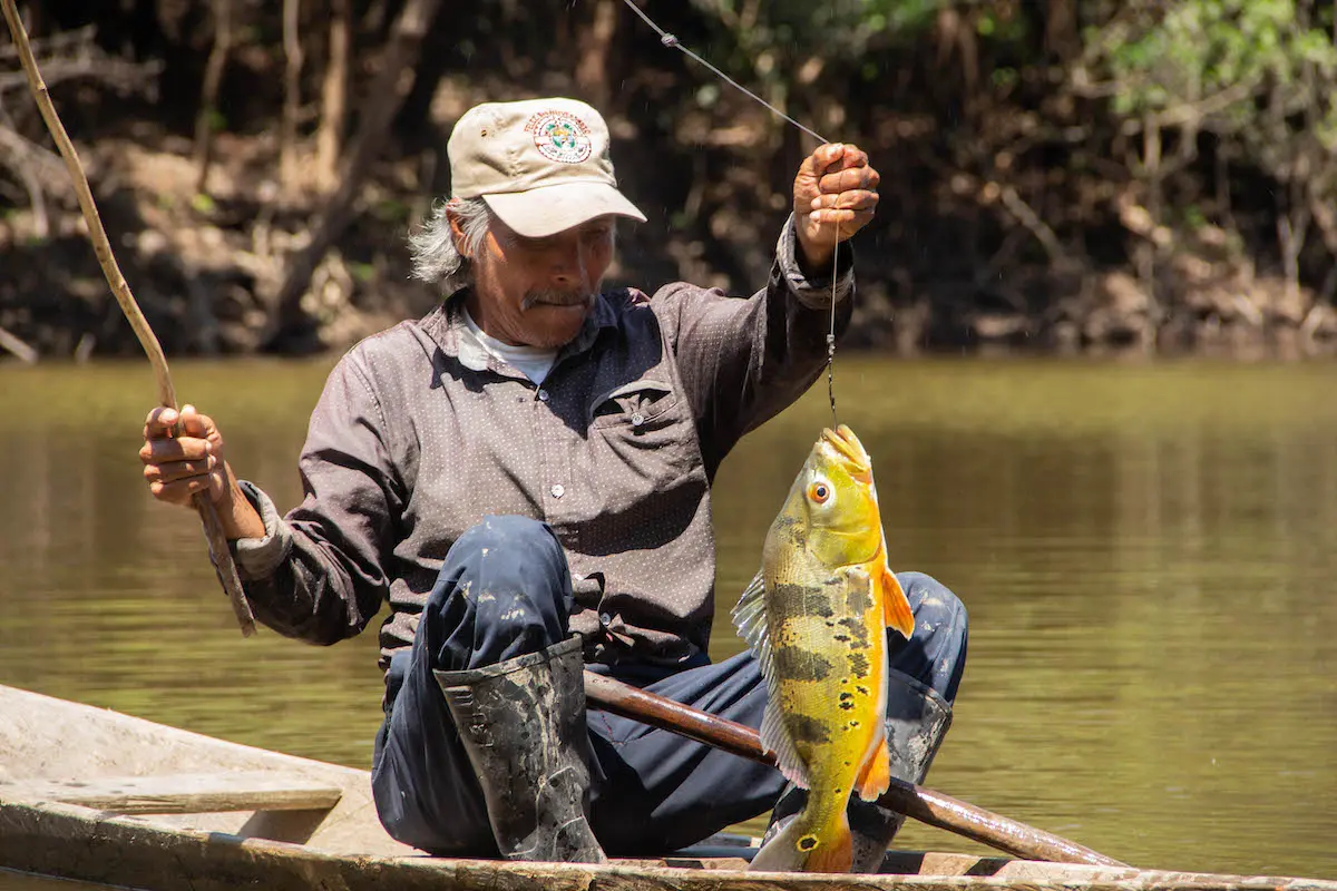 pesca en el rio amazonas peru - Qué peces hay en la selva del Perú