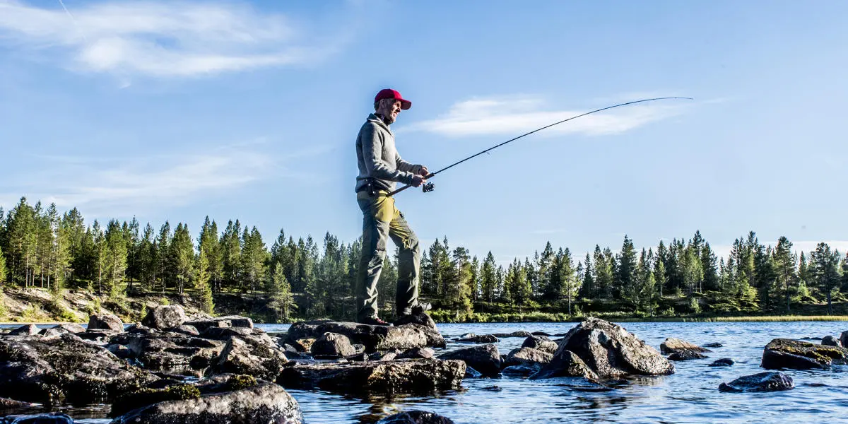 pesca en noruega - Qué peces hay en los lagos de Noruega