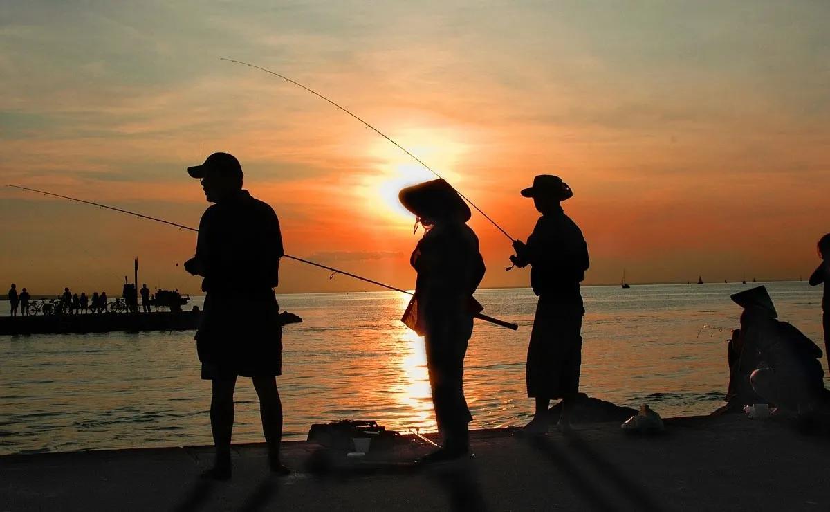 señuelos para pescar de noche - Qué peces se pescan de noche