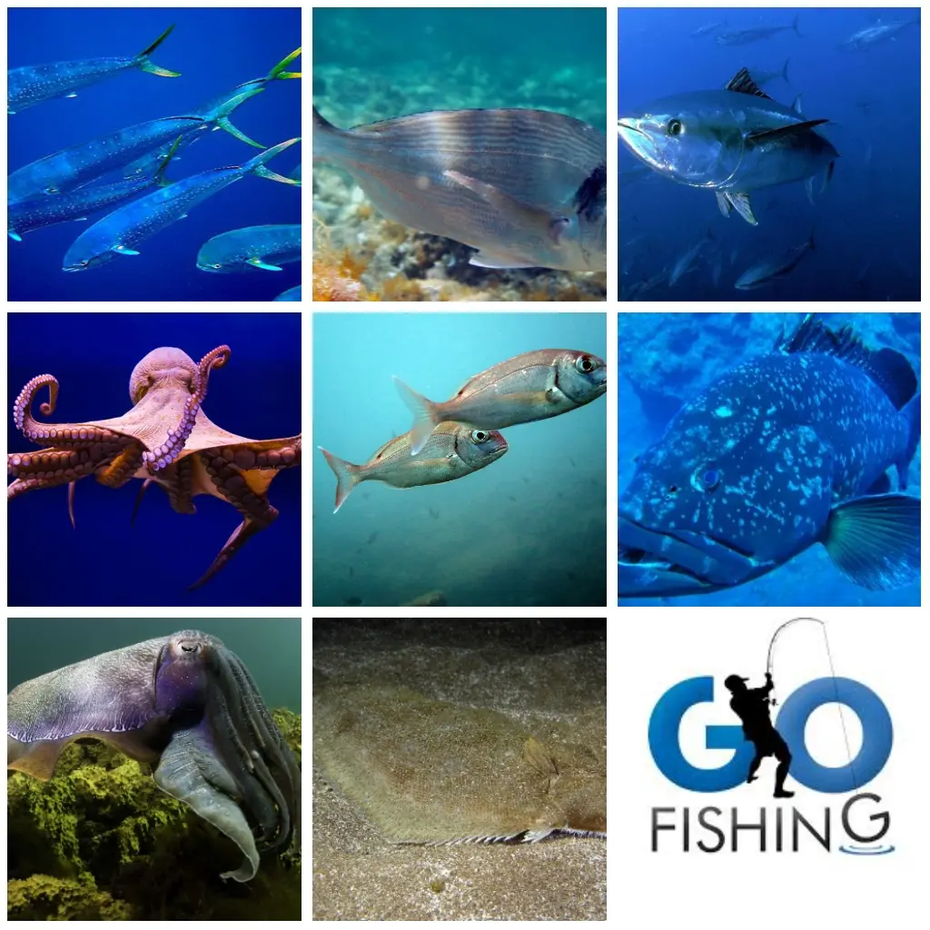 Pesca en febrero: especies y consejos