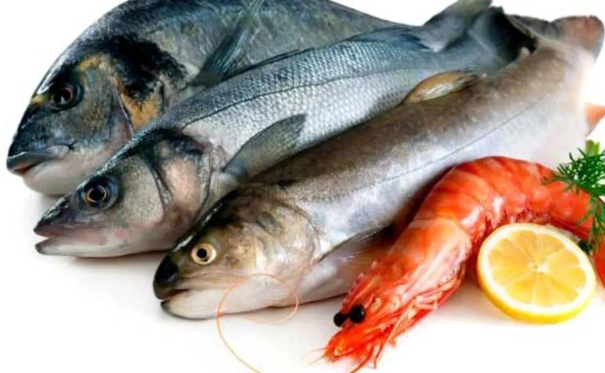 pescado al plomo - Qué pescados contienen plomo