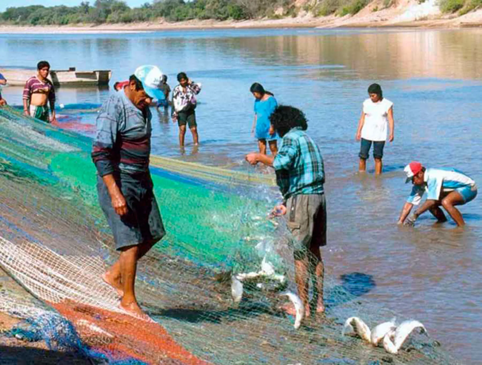pesca en rio tarija - Qué pescados hay en Tarija