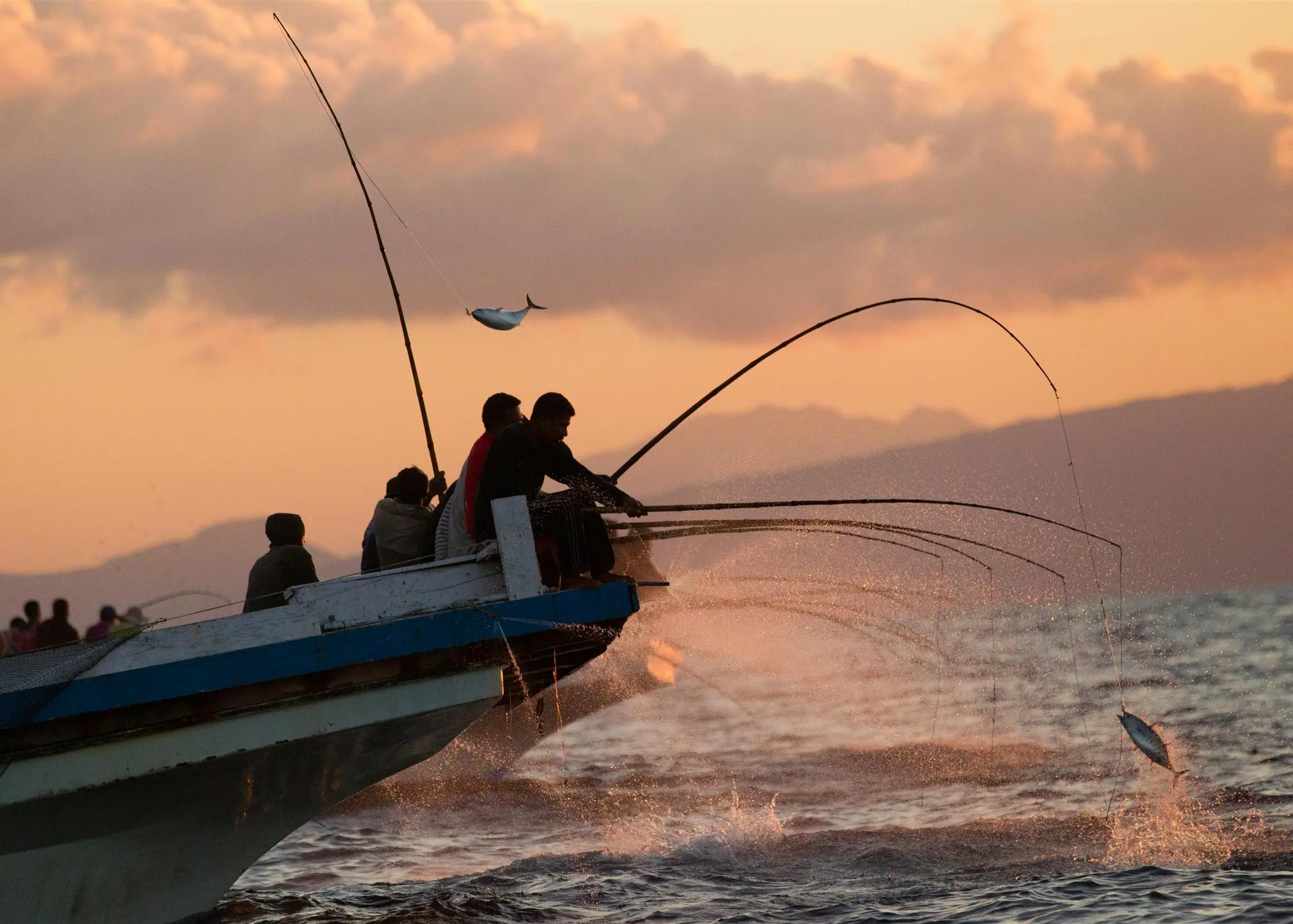 pesca en maldivas - Qué produce Maldivas