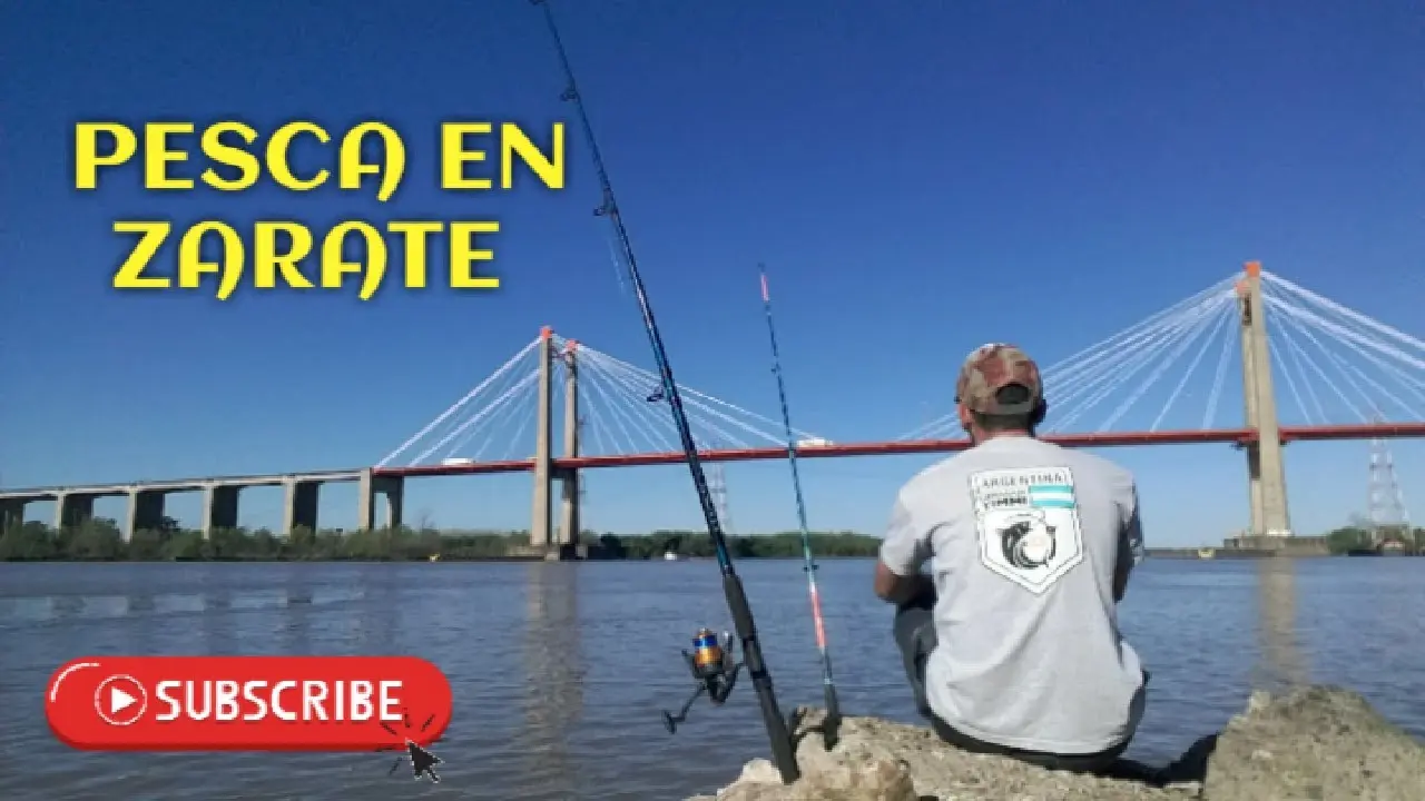 pesca en zarate primer puente - Qué río cruza el puente Zarate Brazo Largo