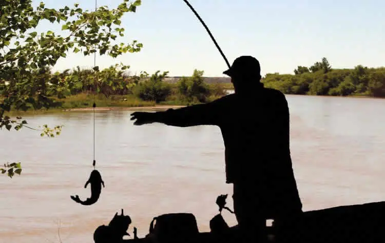 lagunas para pescar en la pampa - Que se pesca en el río Colorado