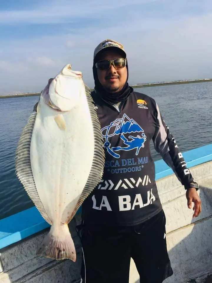pesca en baja california - Que se pesca en Ensenada Baja California