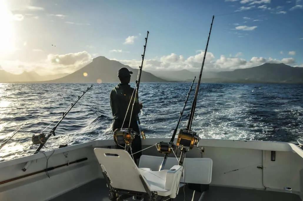 pesca en tenerife - Que se pesca en Tenerife Sur