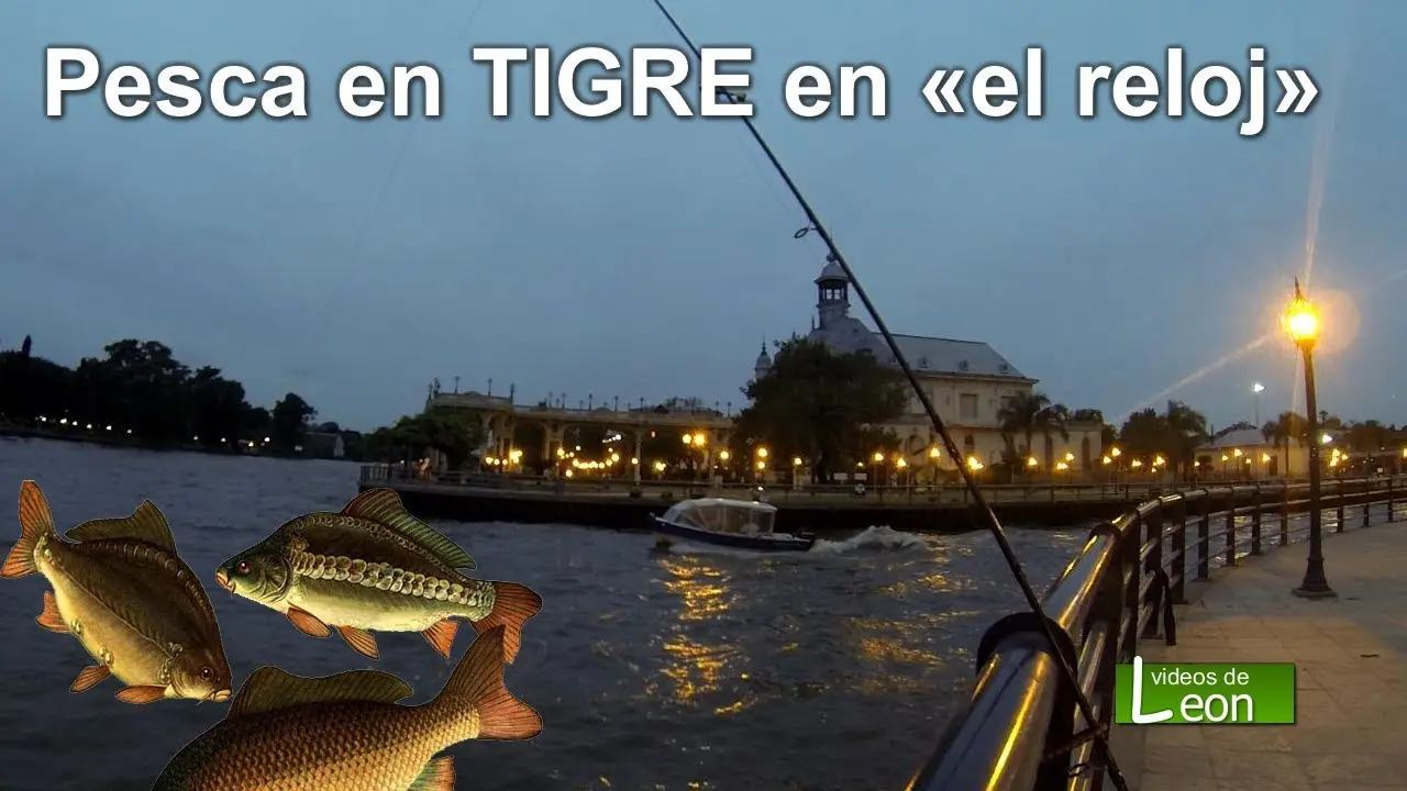 lugares para pescar en tigre - Que se pesca en Villa La Ñata