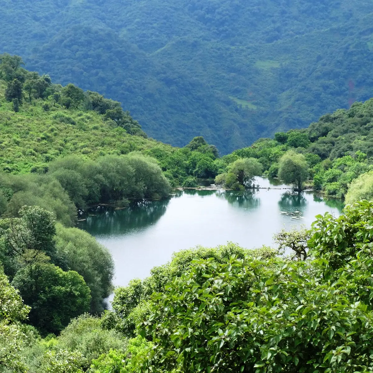 Las lagunas de yala: paraíso natural en jujuy
