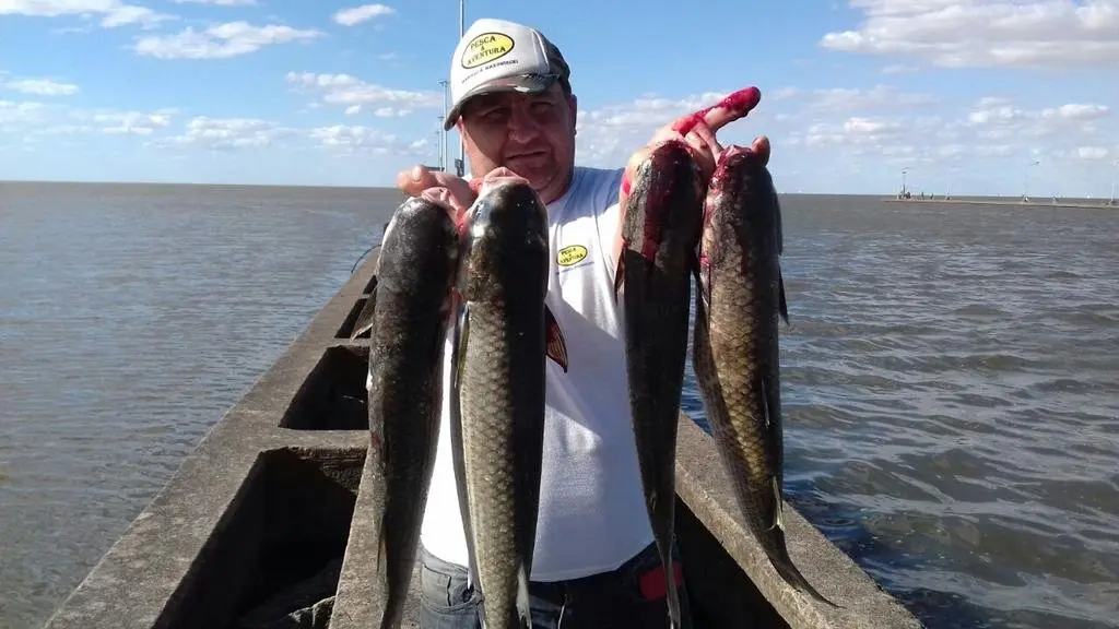 lugares de pesca en punta lara - Que se puede pescar en el río Paraná