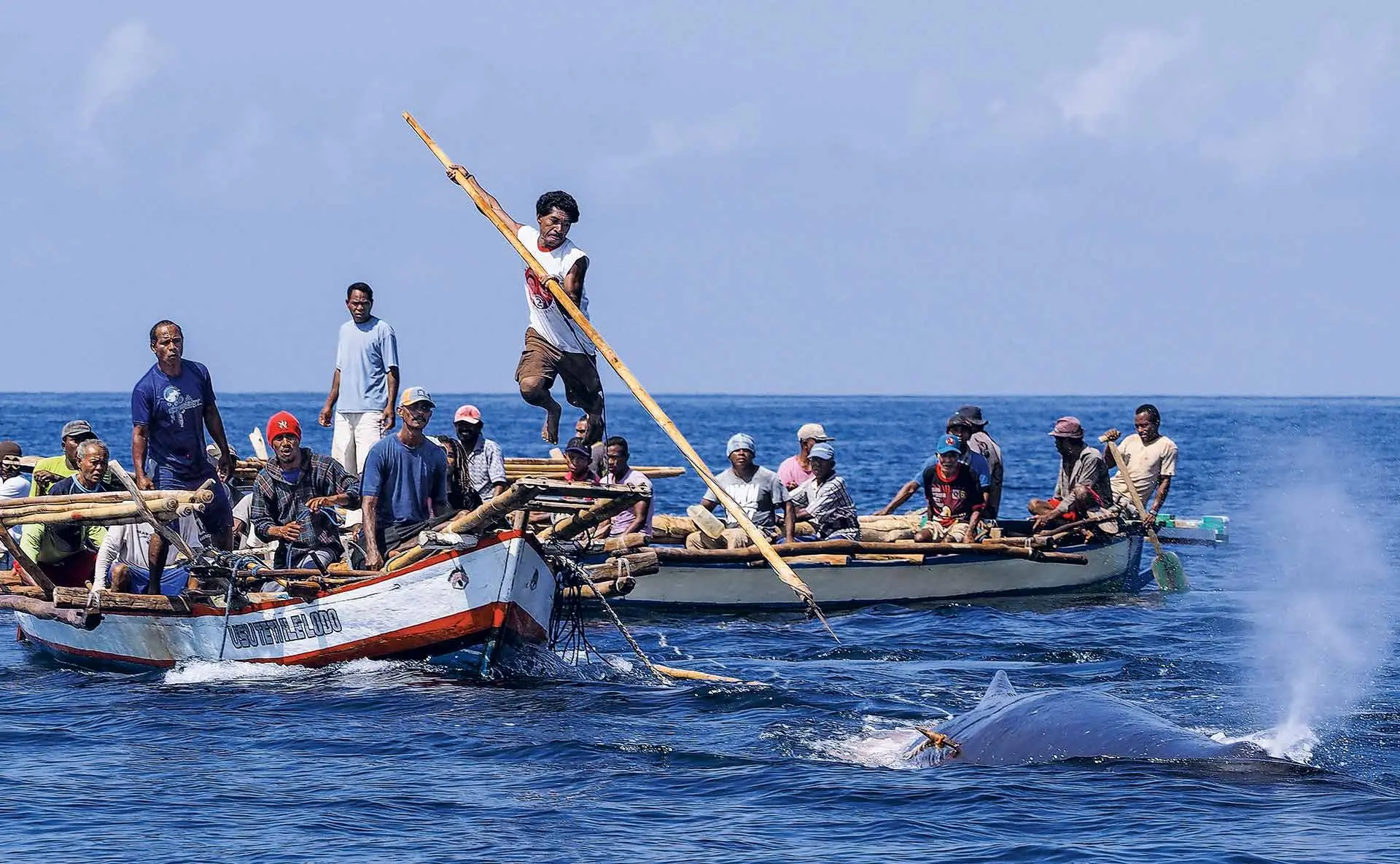 pesca de ballenas con arpon - Qué se utiliza para cazar ballenas
