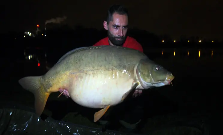 pesca de carpa con boilies - Qué significa el carpfishing