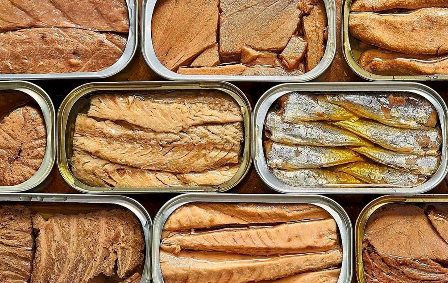 marcas conservas de pescado - Qué son las conservas de pescado