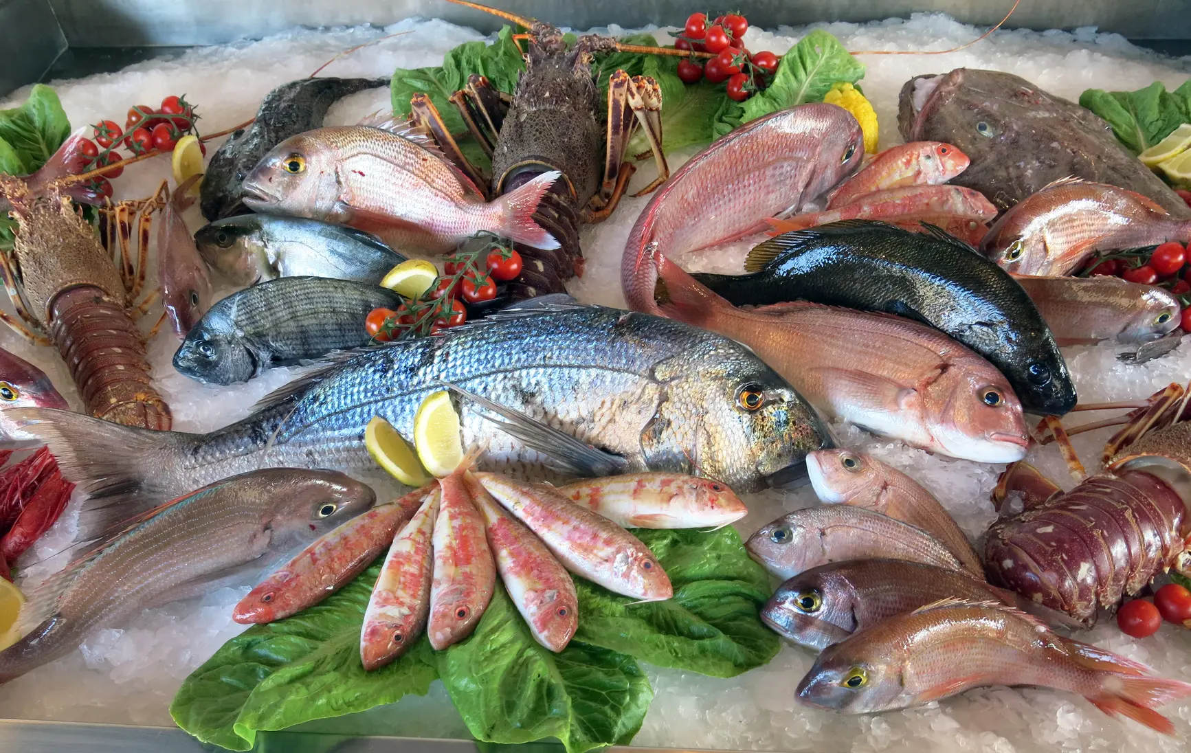 pescado y productos pesqueros - Qué son los productos pesqueros