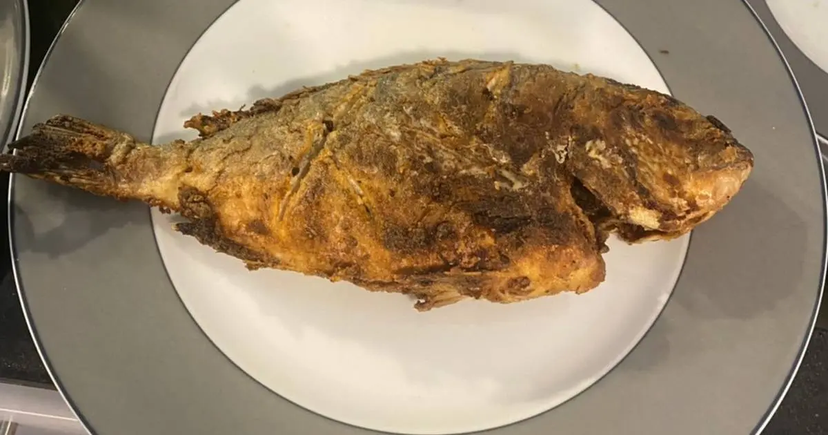 pescado dorado comida - Qué tan bueno es el pescado dorado