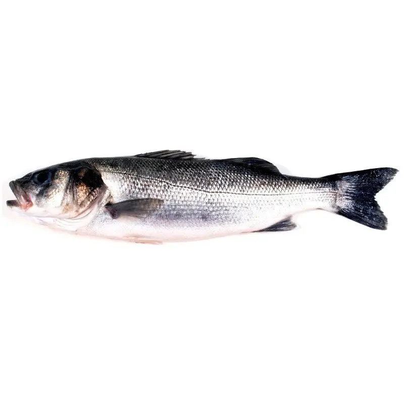 lubina pescado blanco o azul - Qué tipo de pescado es la lubina