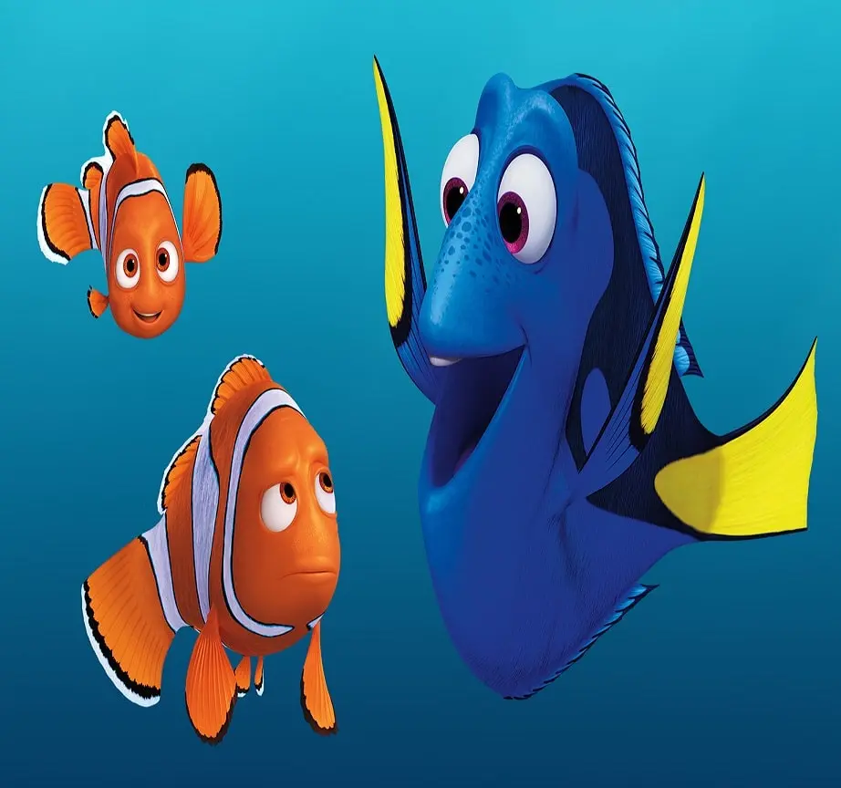 que tipo de pescado es nemo - Qué tipo de pez es Dory la de Nemo