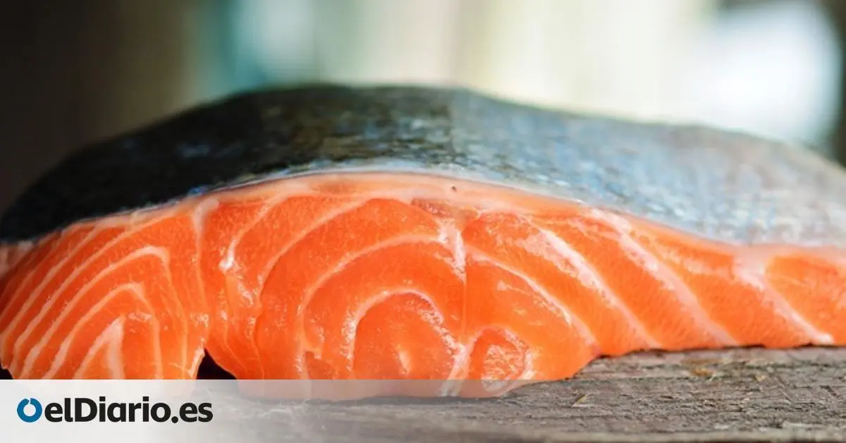 piel de pescado - Qué vitaminas tiene la piel del pescado